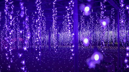 c9de4fbefd804fb6b0d2e8653044b405