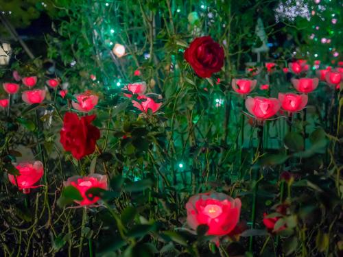 d5af4173495e4db0a93d478e4fd5fd18