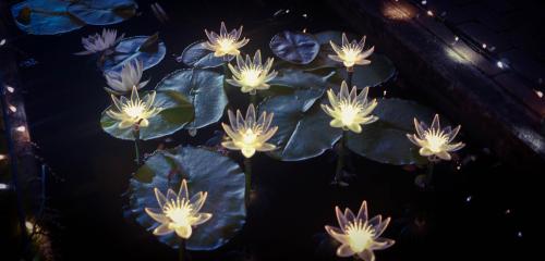 f267f06e0cb84473b006f630d5cb1b86