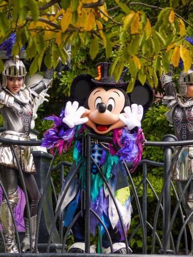 8C277454-8090-4228-B0A9-34CE9BADCA70