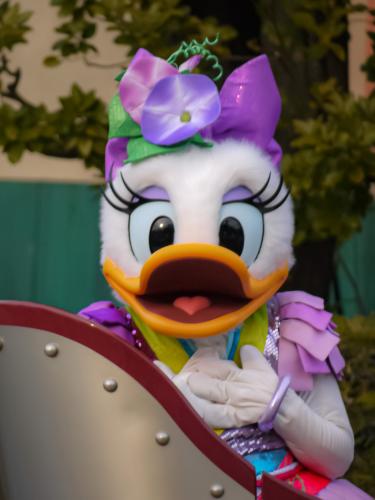 3a2453e93fa9440ba37f92a0864205d0