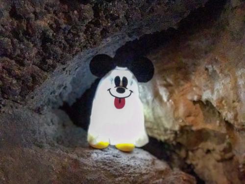 987DF4CF-B6FD-447C-A90E-B2601D53DFBF