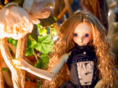 A43C557F-3091-4A3D-AB6C-D6F4DF026229