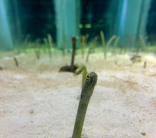 58c34d8da4e344d6af67b3b9d44e373e