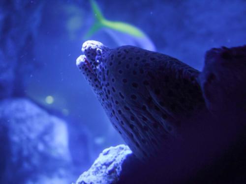 b0506fa63f924487b296edb40787d68a