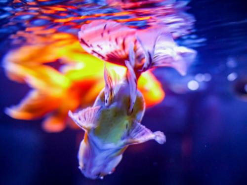 d8bd19e560124315ac88597b640c97b6