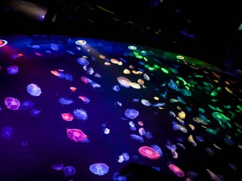 e2e03492b7104bfba9010c03aa1a8082