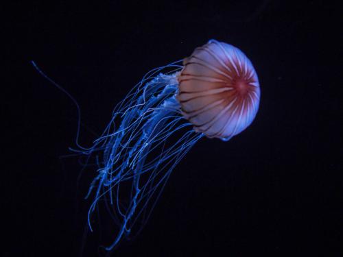 450f3c62cef54f56b8362adac79b3cd7