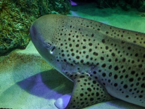 5c3d7d1942bd475d9c957906a09f5169