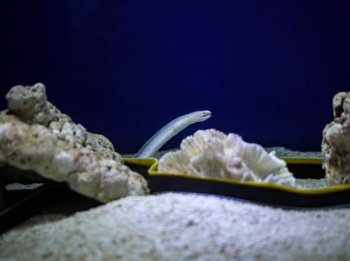 5eafccbf5cd54d0d9d27e2f9dfccb894