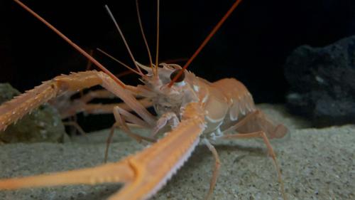 2879f492f943484daa3b78bdfca4f23e