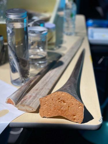 f9a03a8d9ac54d4282f53c80e3dac68d